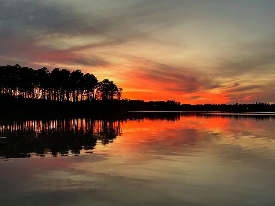 Sunset Photograph - Sunset in the Pines by Tim Mattox