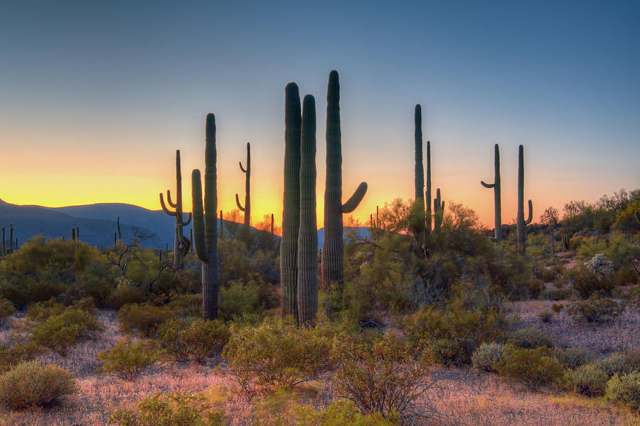 Sunset in the Puerto Blanco Mountains Photograph by Richard Leighton ...