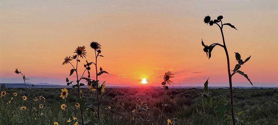 Sunset in the San Luis Valley  Photograph by Ally White