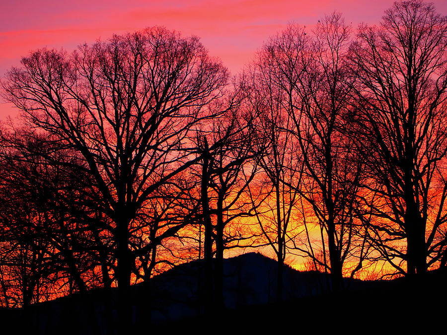 Sunset in the Smokies Photograph by Judy Link Cuddehe