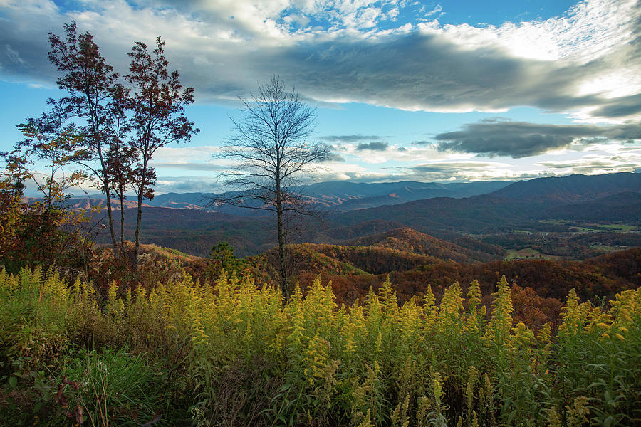 Sunset In Wears Valley Smoky Mountains Photograph By Carol Mellema