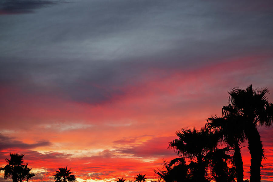 Foothills Photograph - Sunset by Jack and Darnell Est Foothills Photograph - Sunset by Jack and Darnell Est