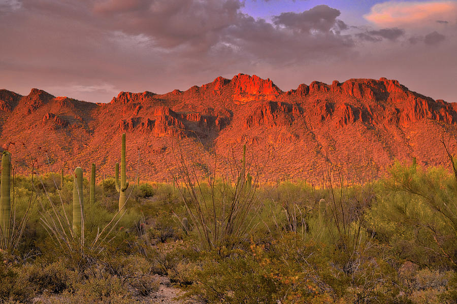 Sunset light on the Tucson Mountains, Arizona Photograph by Chance Kafka