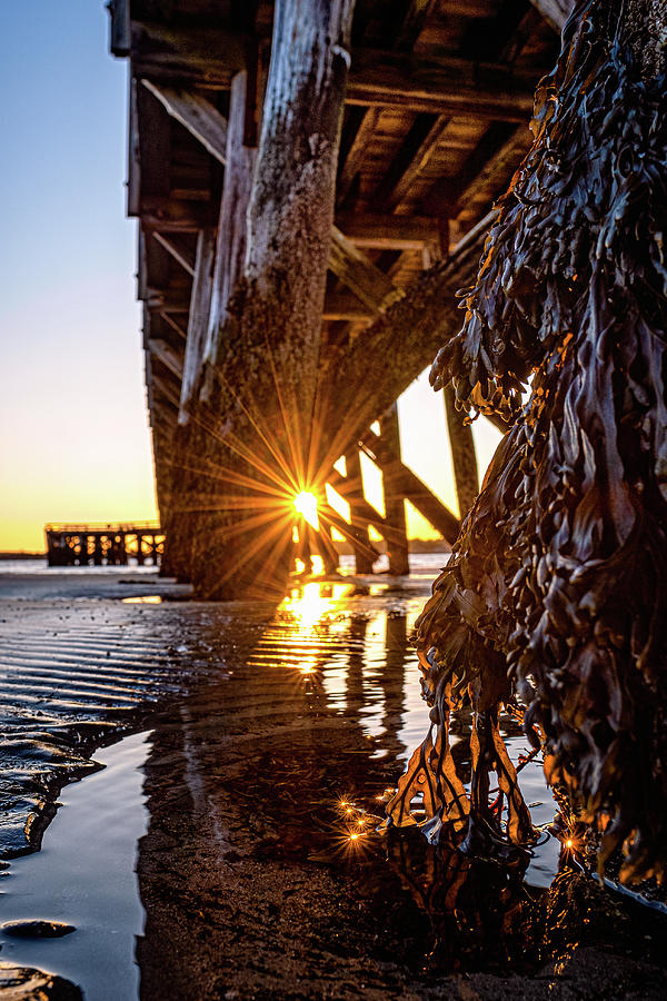 Sunset Light Under Fort Foster Pier Photograph by Jeff Sinon