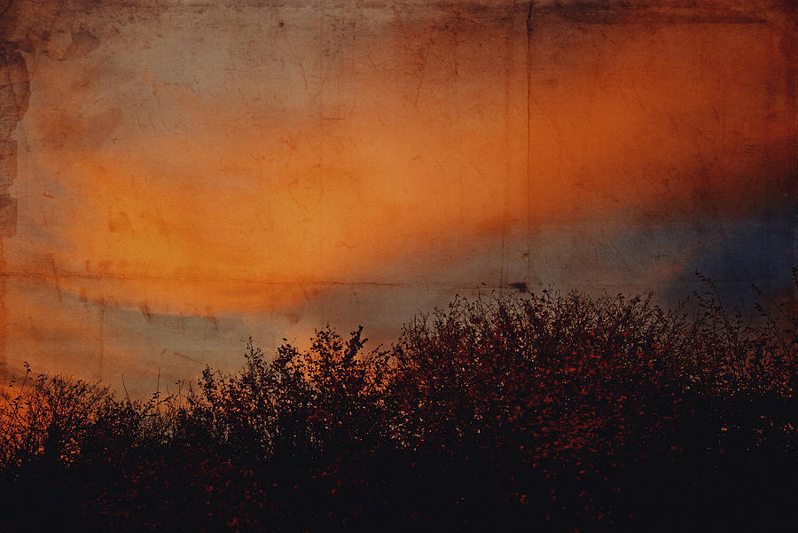 Sunset light Photograph by Yasmina Baggili