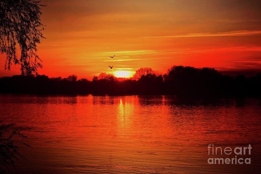 Sunset Love III Photograph by Leonida Arte