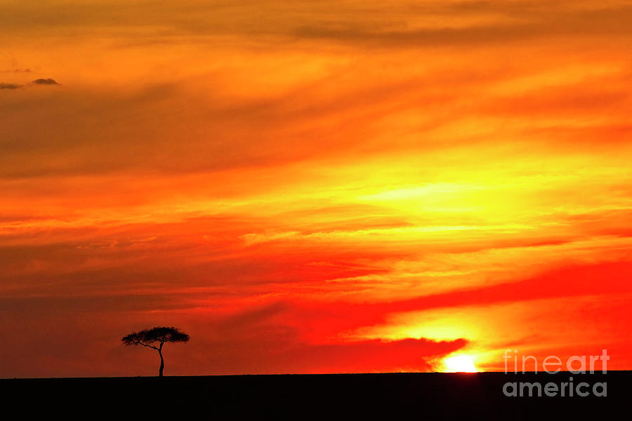 Sunset Maasai Mara Kenya Photograph by Tony Mills