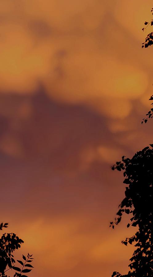 Sunset Mammatus 8/28/21 Photograph by Ally White