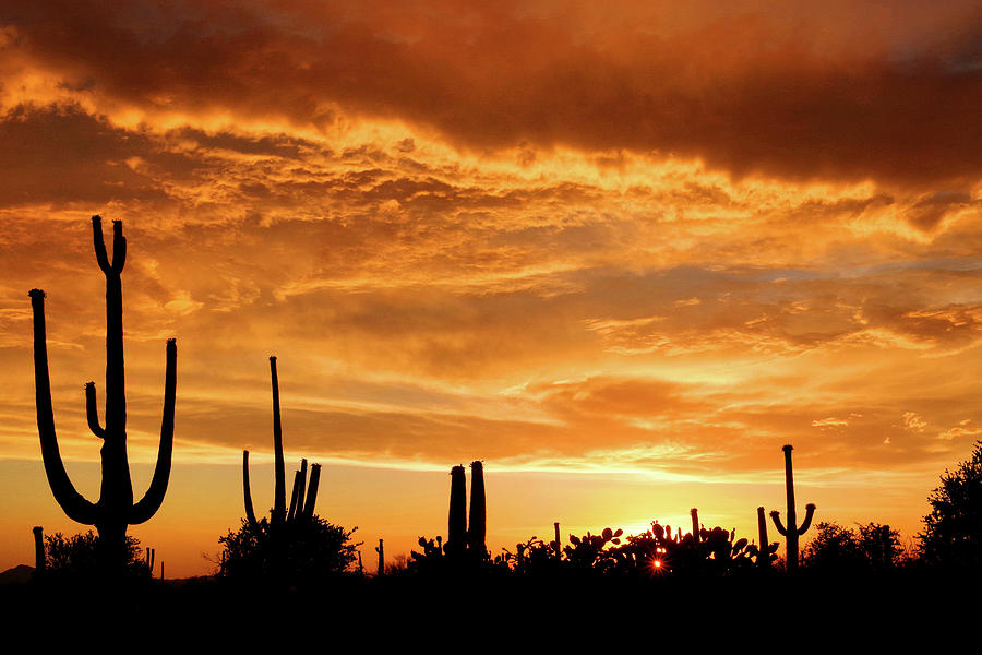 Sunset, May 31st, 2020 Photograph by Douglas Taylor - Fine Art America