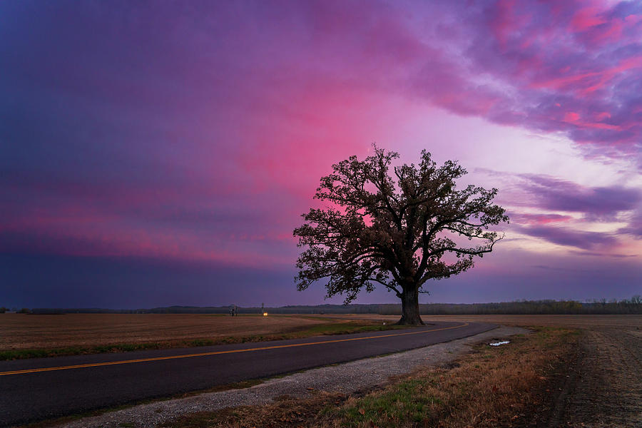 Sunset McBaine Burr Oak Columbia MO GRK2027_10292022 Photograph by Greg Kluempers