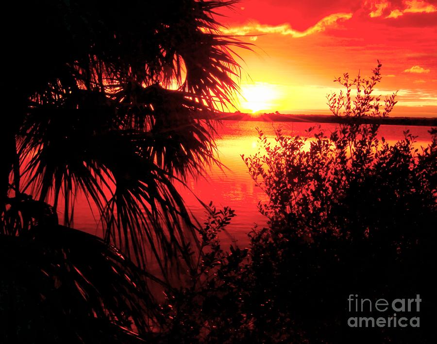 Sunset Photograph - Sunset Merritt Island Florida by Charlene Cox