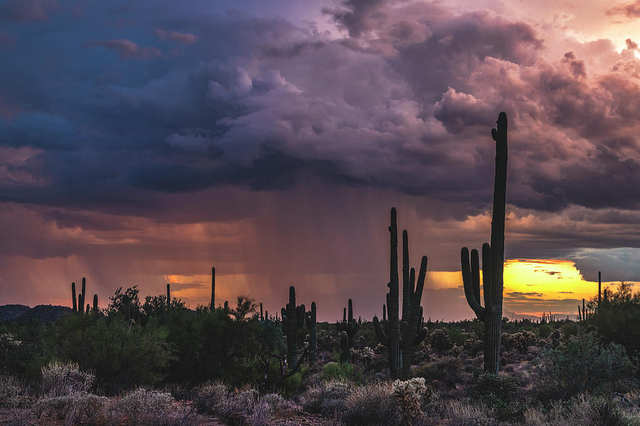 Sunset Monsoon Rain Photograph by Saija Lehtonen - Fine Art America