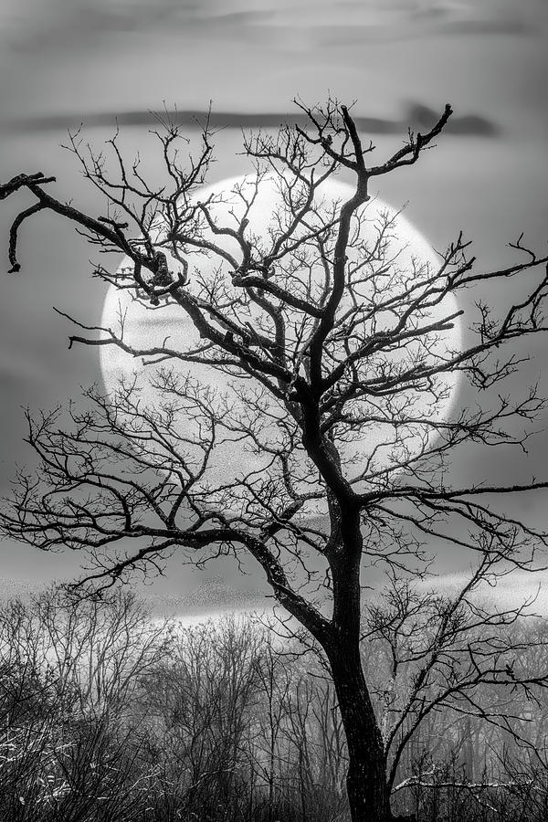Sunset Mountain Moonrise Black and White Photograph by Debra and Dave Vanderlaan