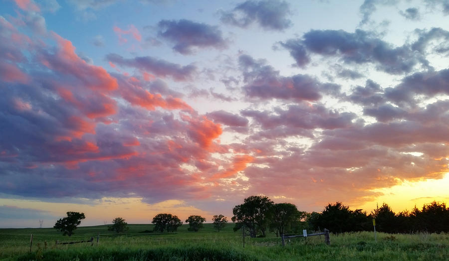 Sunset Near Sumner, Nebraska  Photograph by Ally White