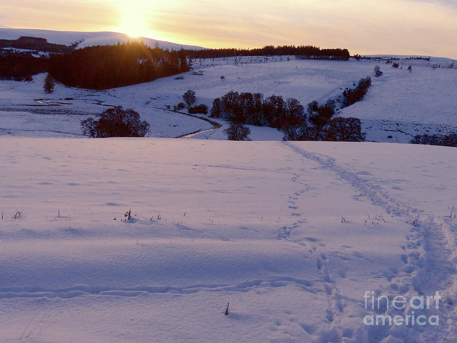 Sunset near Tomintoul in Winter Photograph by Phil Banks