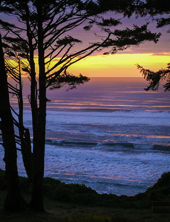 Sunset Near Yachats Photograph by Brian Orion