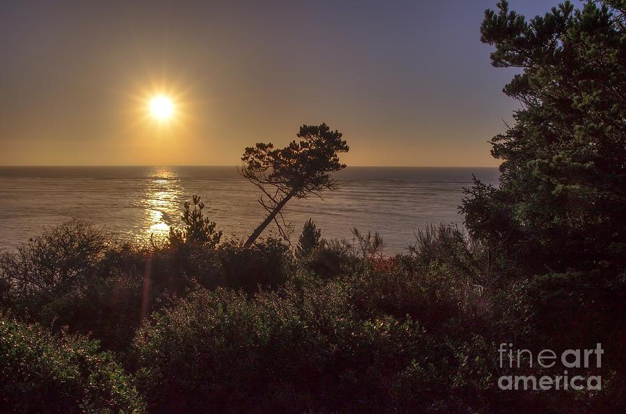 Sunset - Netarts Bay - Oregon Photograph by Jack Andreasen - Fine Art ...