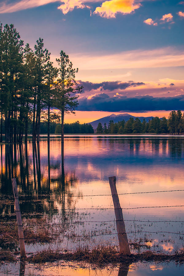 Sunset on a Forest Lake Photograph by Bonny Puckett