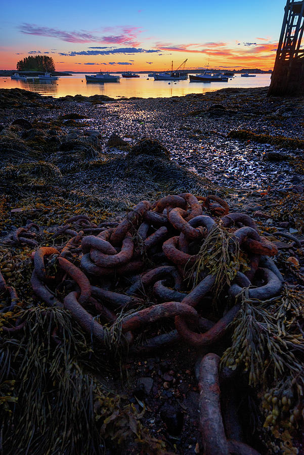 Sunset Photograph - Sunset on Beals Island by Kristen Wilkinson
