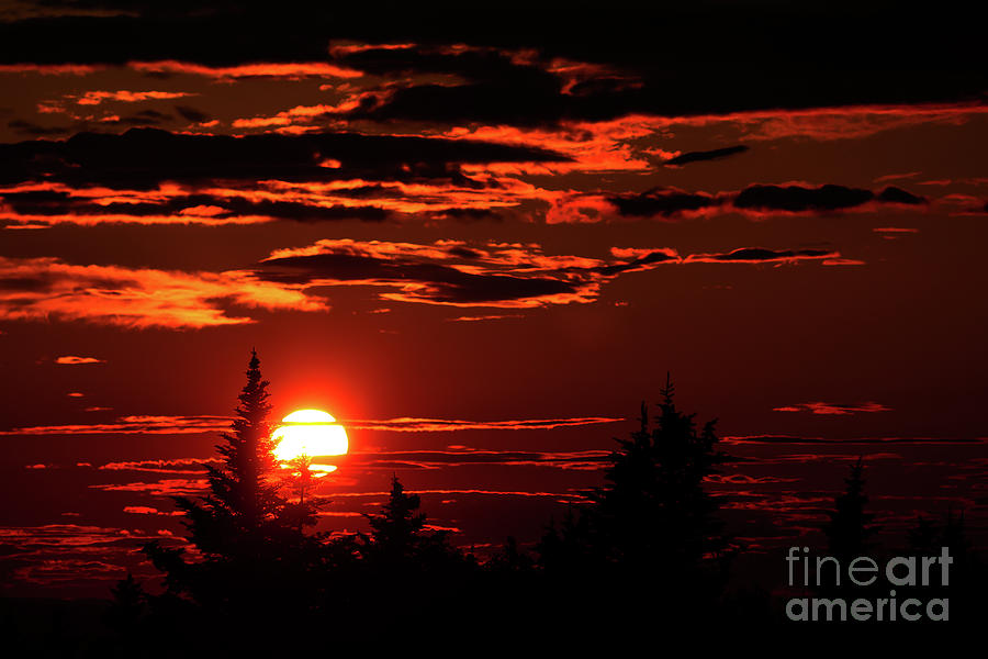 Sunset on Cadillac Mountain Acadia National Park Photograph by Elizabeth Dow