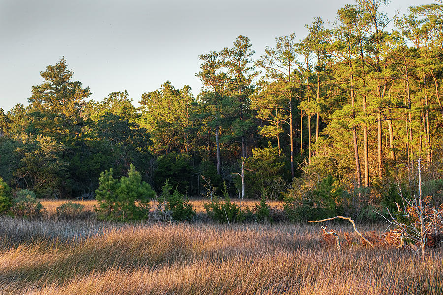 Sunset on Core Creek Marsh in North Carolina Photograph by Bob Decker
