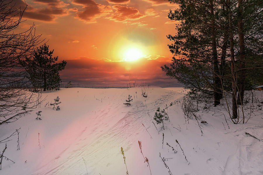 Sunset on February Beach Jurmala  Photograph by Aleksandrs Drozdovs