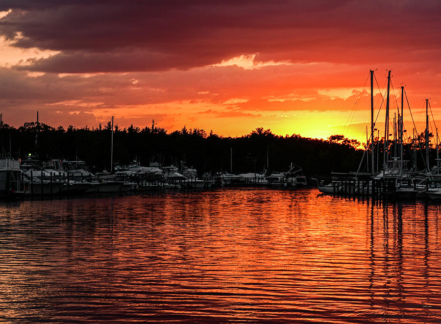 Sunset on Forked River Photograph by Elsa Santoro