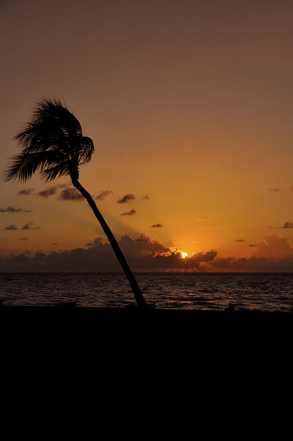 Sunset On Fort Lauderdale Florida Photograph