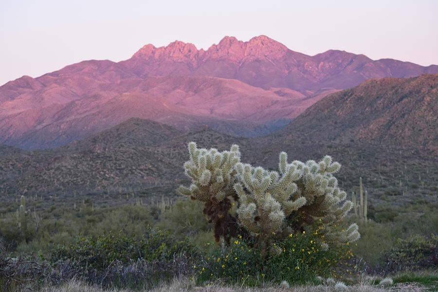Sunset on Four Peaks Photograph by Bonny Puckett