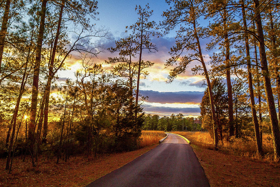 Sunset on Island Loop Drive - Oil Painting Style Photograph by Rachel Morrison