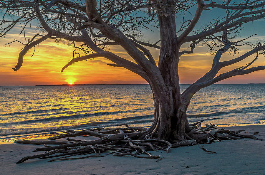 Sunset on Jekyll Island Photograph by Eric Albright
