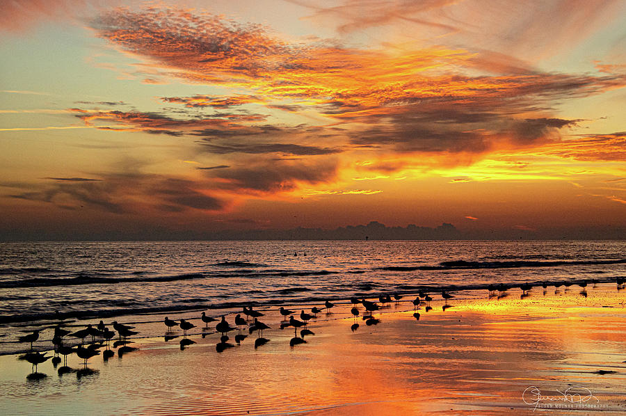 Sunset on Lido Beach 3 Photograph by Susan Molnar