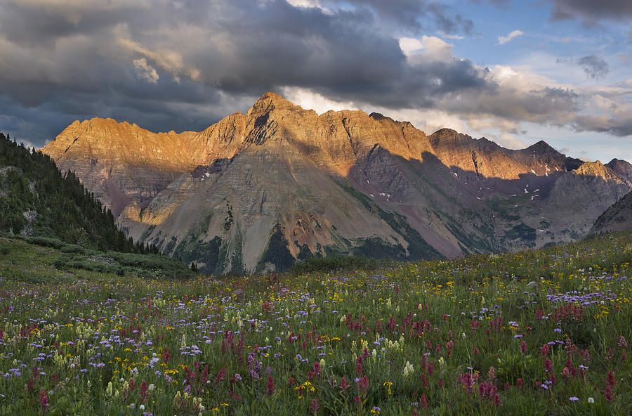 Sunset on Pyramid peak and a field of wildflowers near Aspen Colorado. Photograph by Grant Ordelheide
