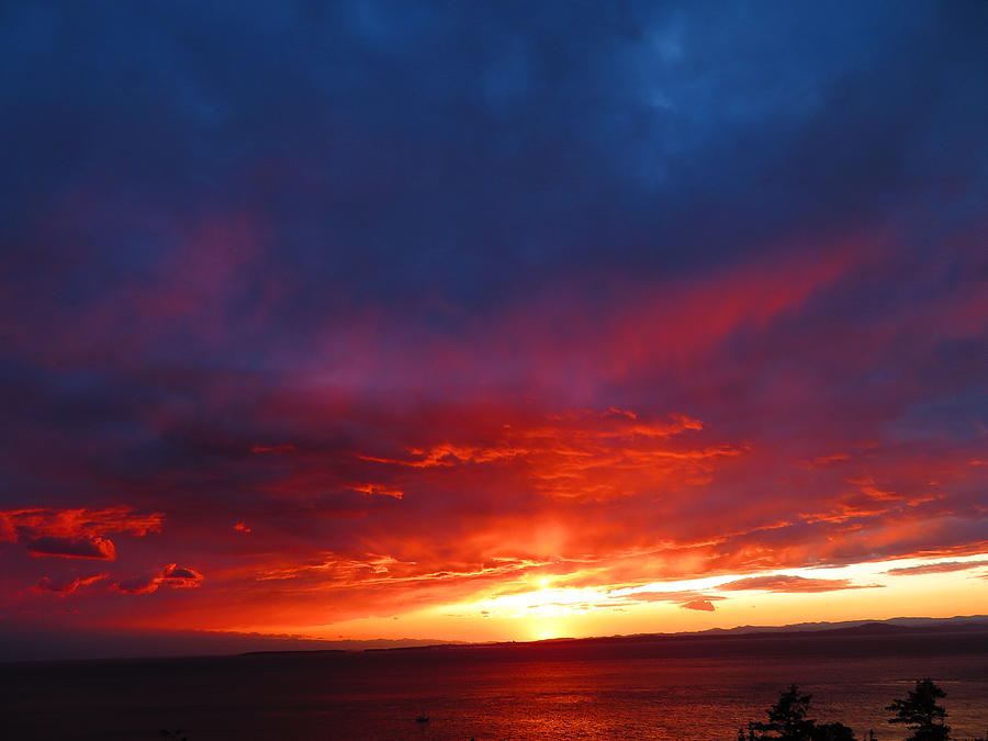 Sunset On San Juan Island Photograph by Marie Jamieson