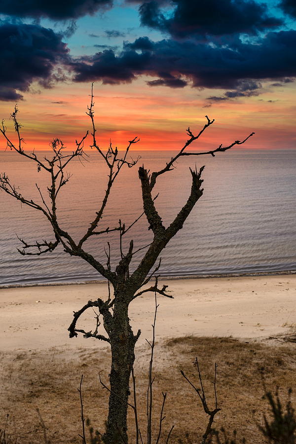 Sunset On The Beach Jurmala  Photograph by Aleksandrs Drozdovs