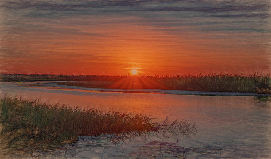 Sunset on the Chobe River, Botswana Photograph by Marcy Wielfaert