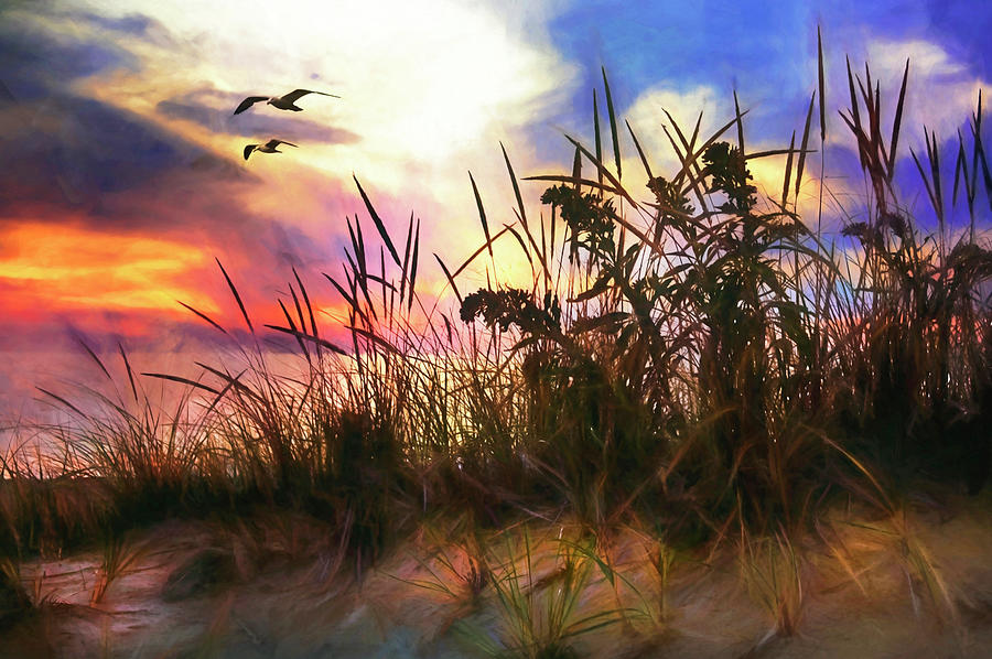 Sunset On The Dunes - Cape Cod Photograph