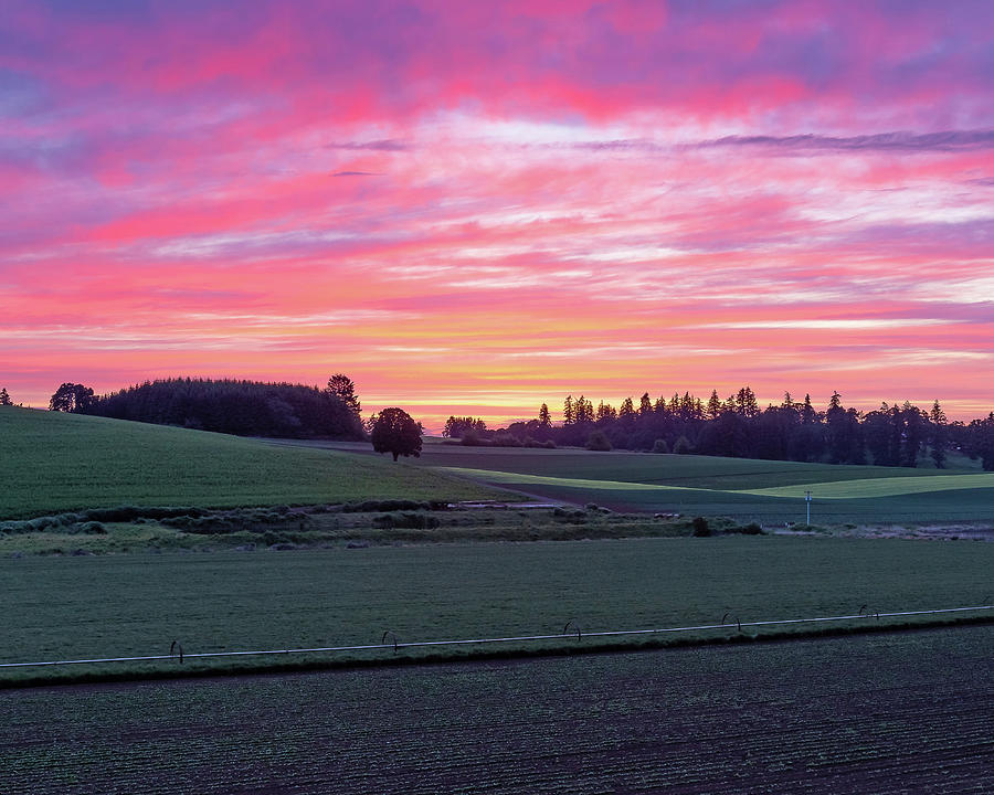 Sunset on the farm Photograph by Ulrich Burkhalter