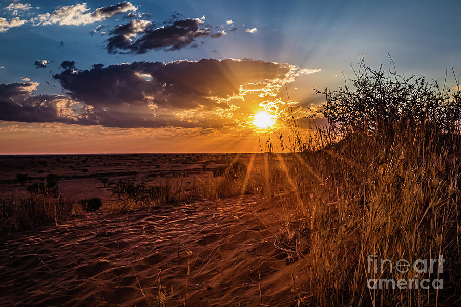 Sunset on the Kalahari desert, Namibia Photograph by Lyl Dil Creations