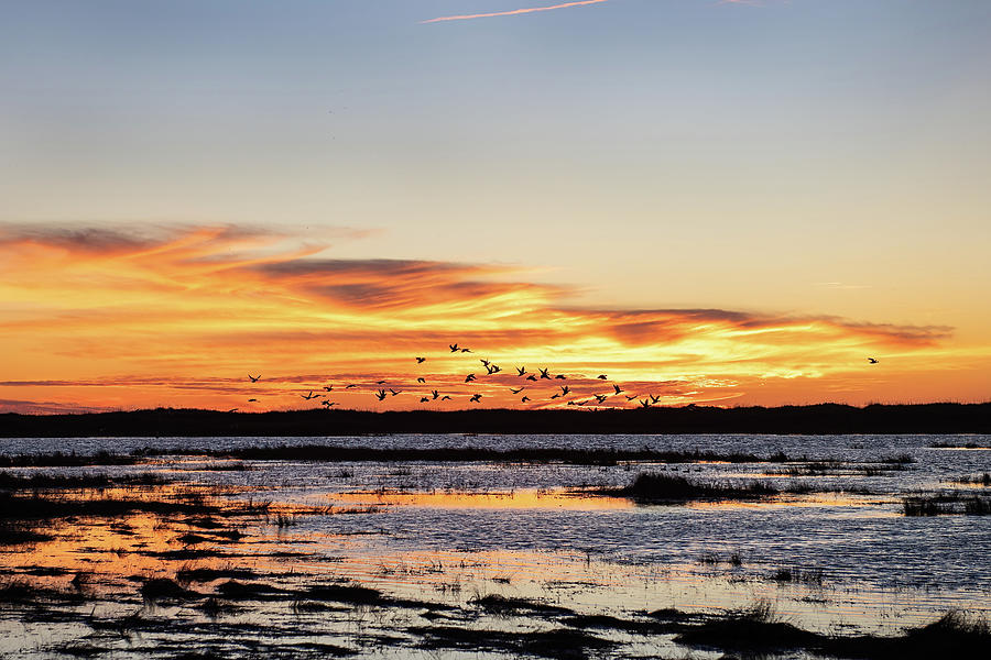 Sunset on the Marsh Photograph by Fon Denton