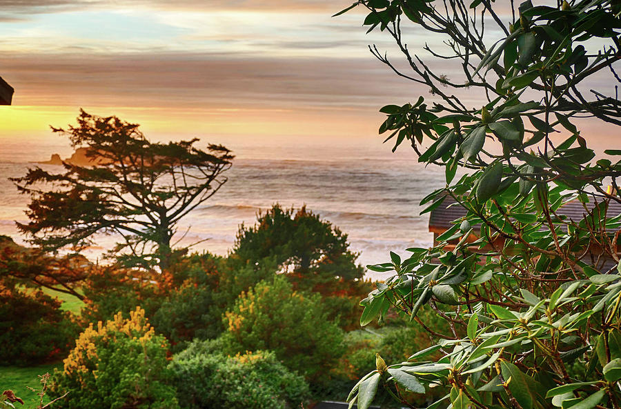 Sunset on the Pacific Ocean Photograph by Steve Estvanik