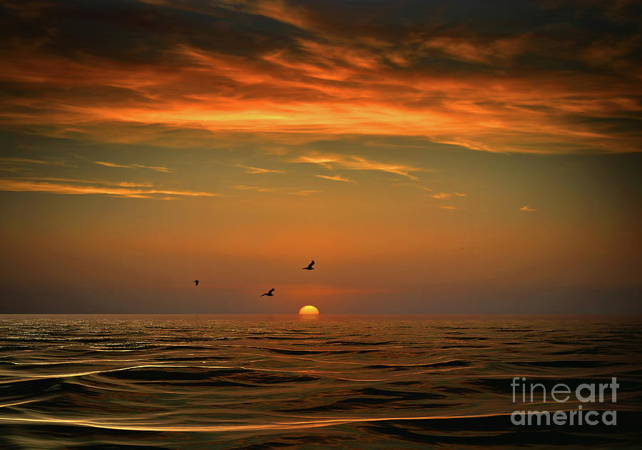 Sunset on the Pacific Ocean with Birds Surreal Seaside Coastal Artwork with Southwestern Colors Photograph by Stephanie Laird