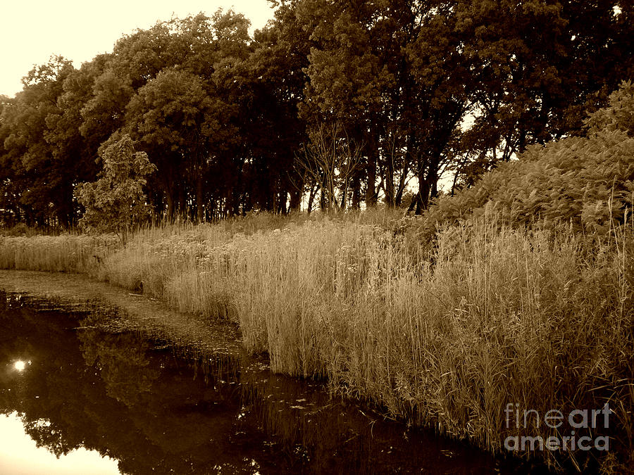 Nature Photograph - Sunset On The Preserve Pond - Sepia  by Frank J Casella