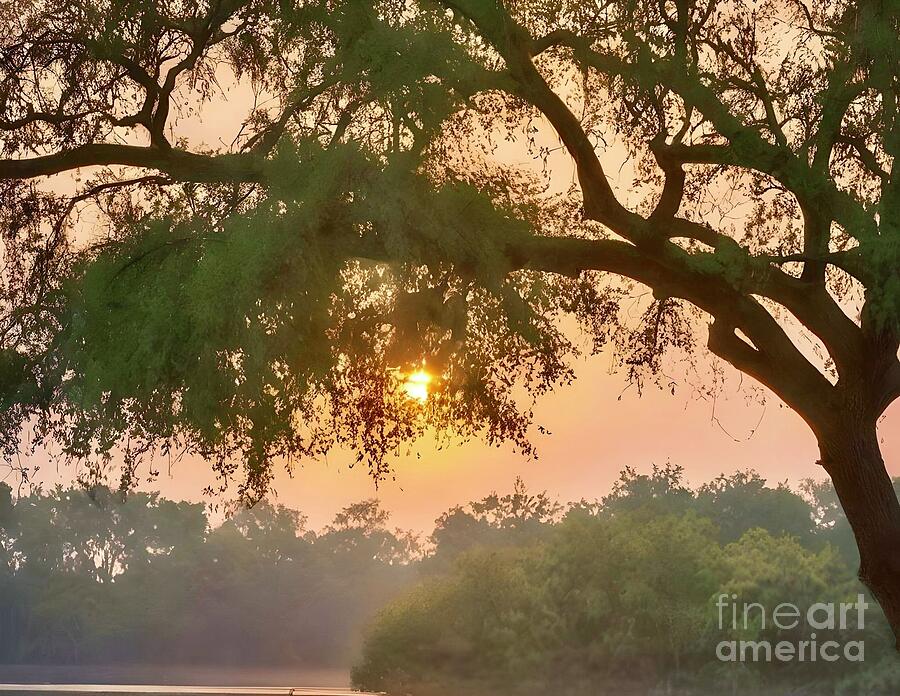 Sunset on the Mississippi River Photograph by Charlene Adler