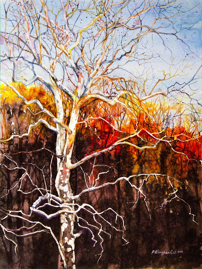 Sunset on the treetop Painting by Patricia Allingham Carlson