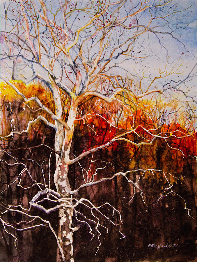 Sunset On The Treetops Painting