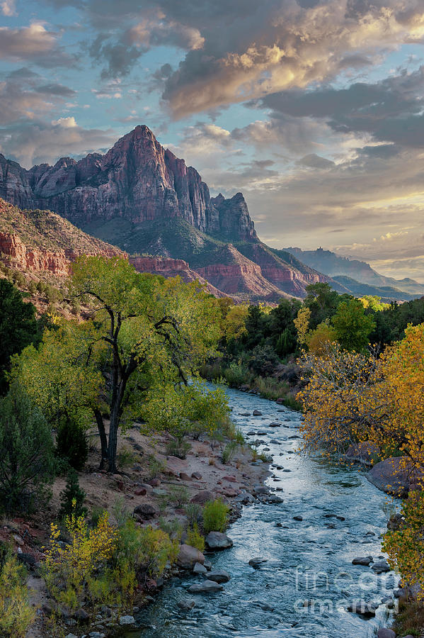 Sunset on The Watchman Photograph by Sandra Bronstein