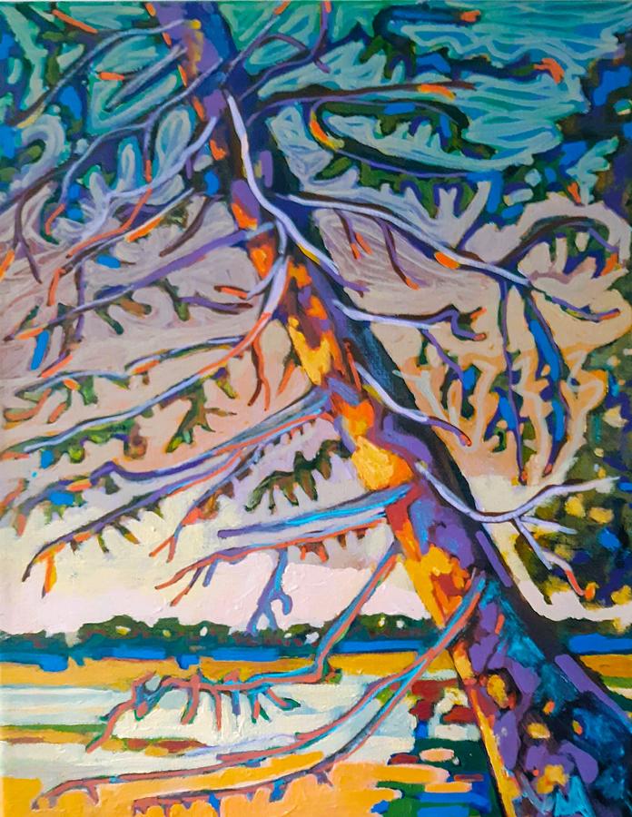 Sunset on the white pine Painting by Marysue Ryan