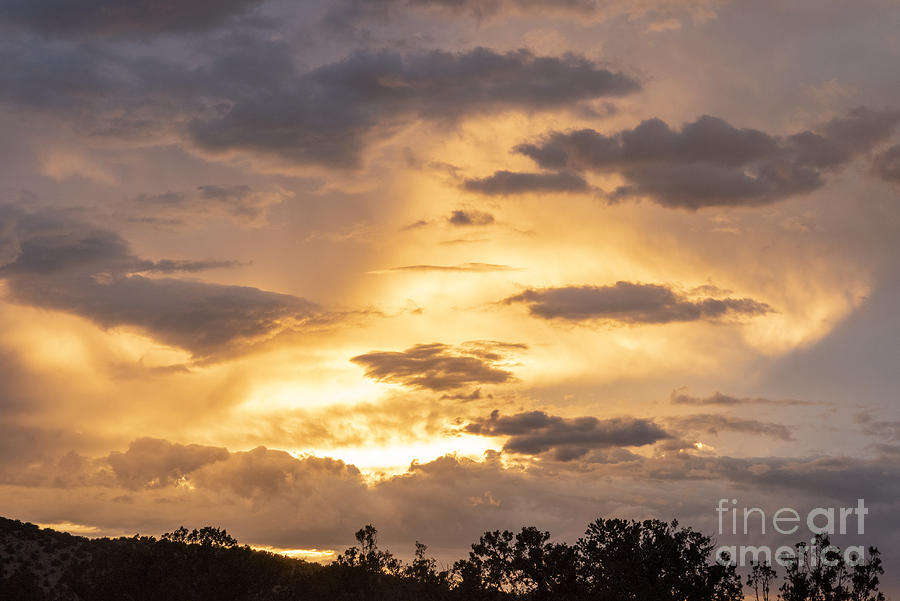 Sunset Ortiz Gold Photograph by Steven Natanson