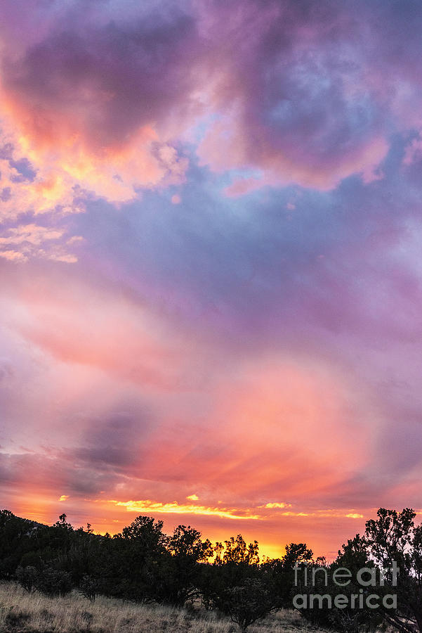 Sunset Ortiz Mountains 40 Photograph by Steven Natanson
